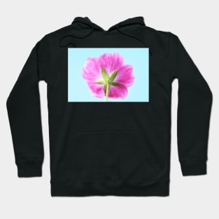 Geranium  &#39;Elke&#39;  Cranesbill Hoodie